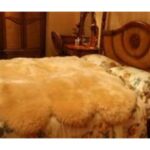 Import sexto from chinese wholesale supplier and manufacturer