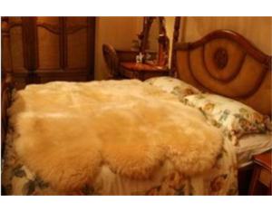 Import sexto from chinese wholesale supplier and manufacturer