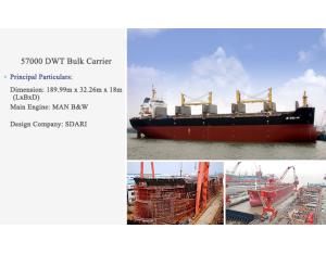 Import Ship Newbuilding from chinese wholesale supplier and manufacturer