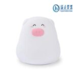 Import Silicone night light from chinese wholesale supplier and manufacturer