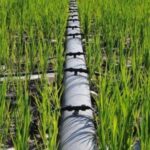 Import Single blade labyrinth drip irrigation tape from chinese wholesale supplier and manufacturer