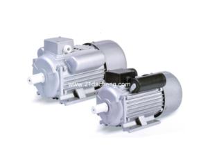Import Single-phase Electric Motor- YCL from chinese wholesale supplier and manufacturer