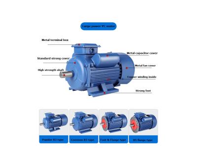Import Single phase electric motor (YC/MC) from chinese wholesale supplier and manufacturer