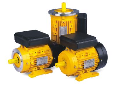 Import SINGLE PHASE MOTOR from chinese wholesale supplier and manufacturer