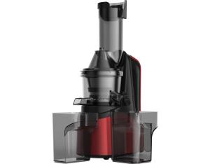 Import Slow juice blender from chinese wholesale supplier and manufacturer