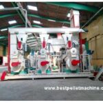 Import Small and Large Pellet Plant for Wood, EFB, etc. from chinese wholesale supplier and manufacturer