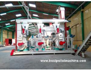 Import Small and Large Pellet Plant for Wood, EFB, etc. from chinese wholesale supplier and manufacturer