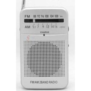 Import small radio from chinese wholesale supplier and manufacturer