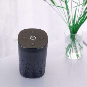 Import Smart Speaker + IR Control from chinese wholesale supplier and manufacturer