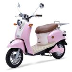 Import Snail- Zhongneng Moden electric scooter from chinese wholesale supplier and manufacturer