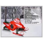 Import Snowmobile 175cc from chinese wholesale supplier and manufacturer