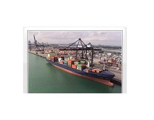 Import Software from chinese wholesale supplier and manufacturer