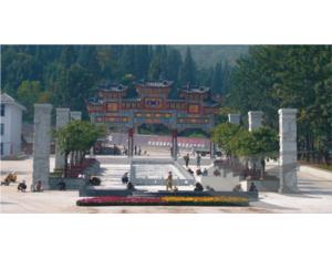Import Software from chinese wholesale supplier and manufacturer