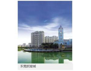 Import Software from chinese wholesale supplier and manufacturer