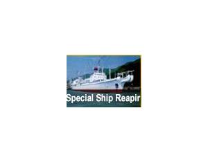 Import special ship repair from chinese wholesale supplier and manufacturer