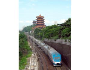 Import Special weapons guest from chinese wholesale supplier and manufacturer
