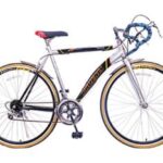 Import SPMH89 – “PHOENIX” 26″ 12-speed racer from chinese wholesale supplier and manufacturer