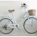 Import SS08-24LADY from chinese wholesale supplier and manufacturer