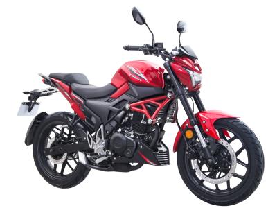 Import SS3 (LF150-10M) LIFAN Street Bike from chinese wholesale supplier and manufacturer