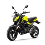 Import ST PAPIO from chinese wholesale supplier and manufacturer
