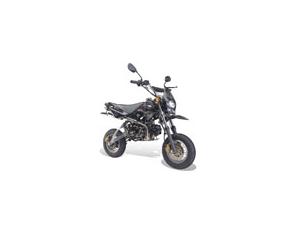 Import ST125GYVIII(EEC) from chinese wholesale supplier and manufacturer