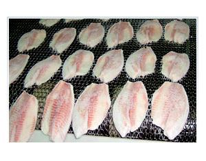 Import Stainless Steel-plate Tunnel Freezer from chinese wholesale supplier and manufacturer