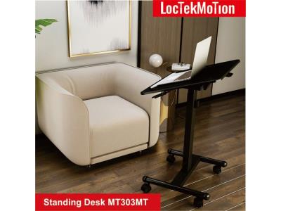 Import Standing Desk MT303MT from chinese wholesale supplier and manufacturer