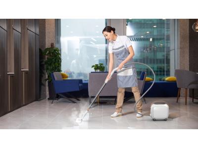 Import Steam cleaner for house cleaning from chinese wholesale supplier and manufacturer