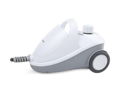 Import Steam cleaner JJB-208 from chinese wholesale supplier and manufacturer