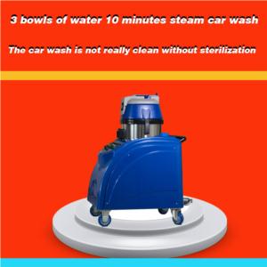 Import Steam cleaning machine from chinese wholesale supplier and manufacturer