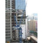 Import STL120Tower Crane from chinese wholesale supplier and manufacturer