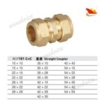 Import straight coupler from chinese wholesale supplier and manufacturer