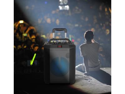 Import Subwoofer Speaker Karaoke Trolley Box Home Party Player Outdoor Portable Trolley Speaker from chinese wholesale supplier and manufacturer