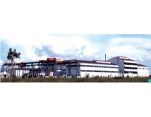 Import Sugar Refinery, Burma from chinese wholesale supplier and manufacturer