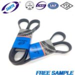 Import SUNTE RIBBED BELT from chinese wholesale supplier and manufacturer