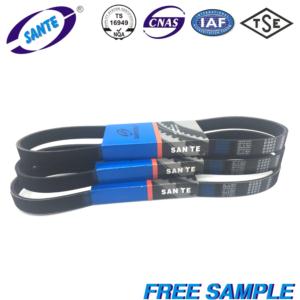 Import SUNTE RIBBED BELT 6PK from chinese wholesale supplier and manufacturer