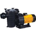 Import Swimming Pool Pumps-FCP-2200A/3000A/4000A from chinese wholesale supplier and manufacturer