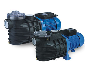 Import Swimming Pool Water Pumps- FCP Series from chinese wholesale supplier and manufacturer