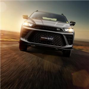 Import SWM SUV G01F from chinese wholesale supplier and manufacturer