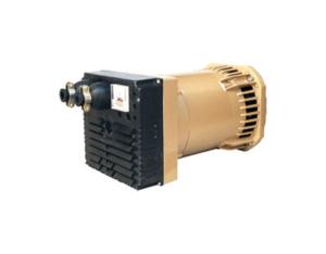 Import T /TA SERIES SINGLE-PHASE SELF-EXCITED BRUSHLESS GENERATOR from chinese wholesale supplier and manufacturer