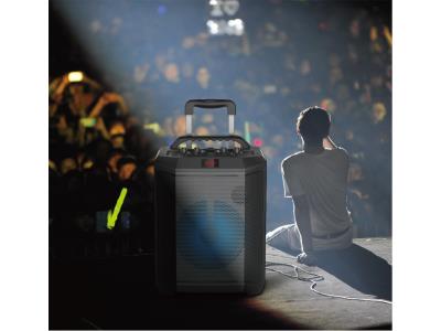 Import T12-Trolley speakers from chinese wholesale supplier and manufacturer