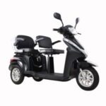 Import T409-2 EEC 1000W 2 Seats 3 Wheel Electric Mobility Scooter for Passenger from chinese wholesale supplier and manufacturer