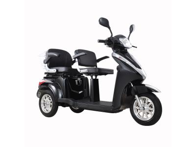 Import T409-2 EEC 1000W 2 Seats 3 Wheel Electric Mobility Scooter for Passenger from chinese wholesale supplier and manufacturer