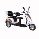 Import T409 EEC 2 Seat Mobility Scooter 3 Wheel Electric Tricycle from chinese wholesale supplier and manufacturer