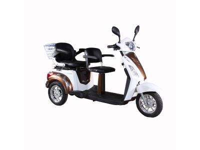 Import T409 EEC 2 Seat Mobility Scooter 3 Wheel Electric Tricycle from chinese wholesale supplier and manufacturer