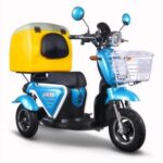 Import T413-2 Food Delivery Scooter Three Wheel Electric Tricycle Scooter with Cooler Box from chinese wholesale supplier and manufacturer