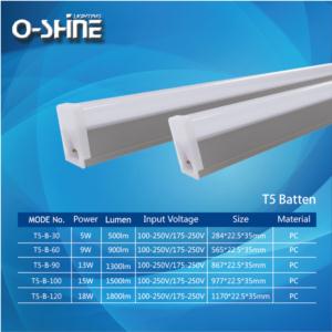 Import T5 batten from chinese wholesale supplier and manufacturer