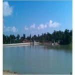 Import The China and Burma crude oil pier reservoir from chinese wholesale supplier and manufacturer