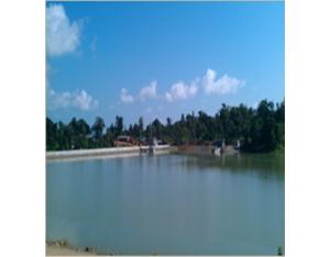 Import The China and Burma crude oil pier reservoir from chinese wholesale supplier and manufacturer