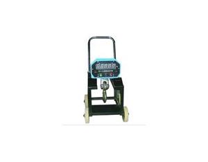 Import The hanging Electronic weighing system from chinese wholesale supplier and manufacturer
